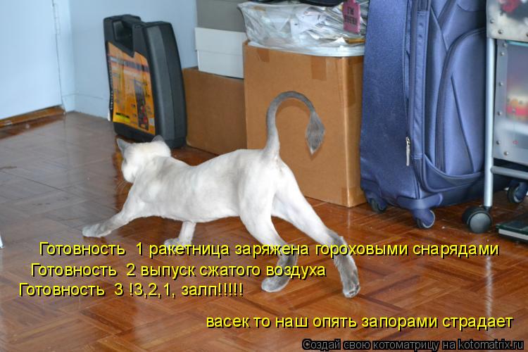 Готовность №1 ракетница заряжена гороховыми снарядами Готовность №2 выпуск сжатого воздуха Готовность... Котоматрица: Готовность №1 ракетница заряжена гороховыми снарядами Готовность №2 выпуск сжатого воздуха Готовность №3 !3,2,1, залп!!!!! васек то наш опять з