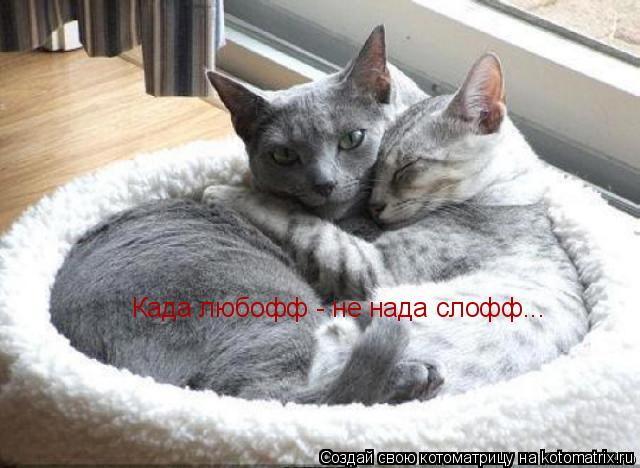 Када любофф - не нада слофф...... Котоматрица: Када любофф - не нада слофф...