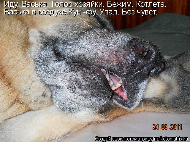 Иду. Васька. Голос хозяйки. Бежим. Котлета. Васька в воздухе.Кун -фу. Упал. Без чувст.... Котоматрица: Иду. Васька. Голос хозяйки. Бежим. Котлета. Васька в воздухе.Кун -фу. Упал. Без чувст.