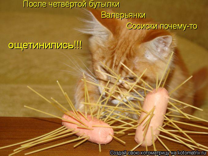 После четвёртой бутылки Валерьянки Сосиски почему-то ощетинились!!!... Котоматрица: После четвёртой бутылки Валерьянки Сосиски почему-то ощетинились!!!