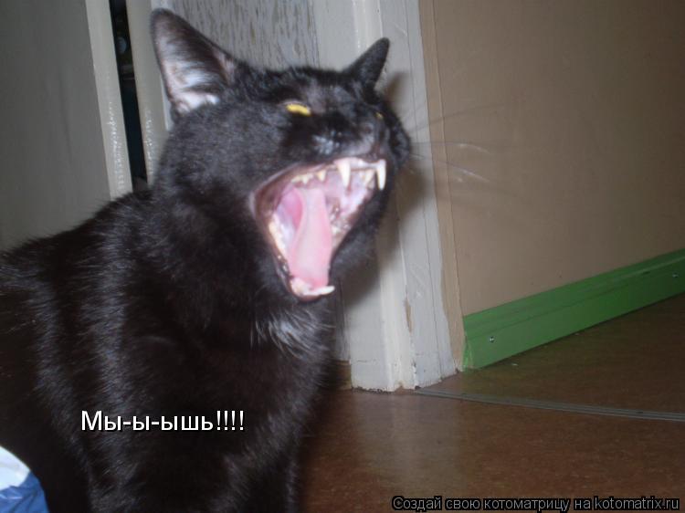 Мы-ы-ышь!!!!... Котоматрица: Мы-ы-ышь!!!!