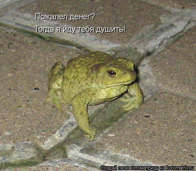 Пожалел денег? Тогда я иду тебя душить!... Котоматрица: Пожалел денег? Тогда я иду тебя душить!