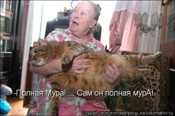 -Полная Мура!.... Сам он полная мурА!... Котоматрица: -Полная Мура!.... Сам он полная мурА!