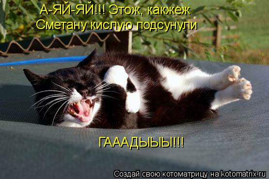 А-ЯЙ-ЯЙ!!! Этож, какжеж Сметану кислую подсунули ГАААДЫЫЫ!!!... Котоматрица: А-ЯЙ-ЯЙ!!! Этож, какжеж Сметану кислую подсунули ГАААДЫЫЫ!!!