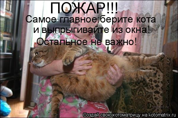 ПОЖАР!!! Самое главное:берите кота и выпрыгивайте из окна! Остальное не важно!... Котоматрица: ПОЖАР!!! Самое главное:берите кота и выпрыгивайте из окна! Остальное не важно!