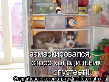 замаскировался , скоро холодильник опустеет!!!... Котоматрица: замаскировался , скоро холодильник опустеет!!!
