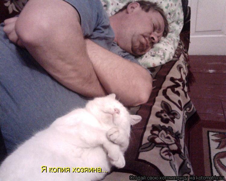 Я копия хозяина...... Котоматрица: Я копия хозяина...