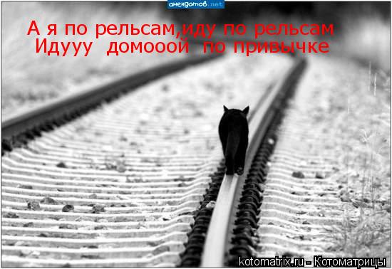 А я по рельсам,иду по рельсам Идууу домооой по привычке... Котоматрица: А я по рельсам,иду по рельсам Идууу домооой по привычке
