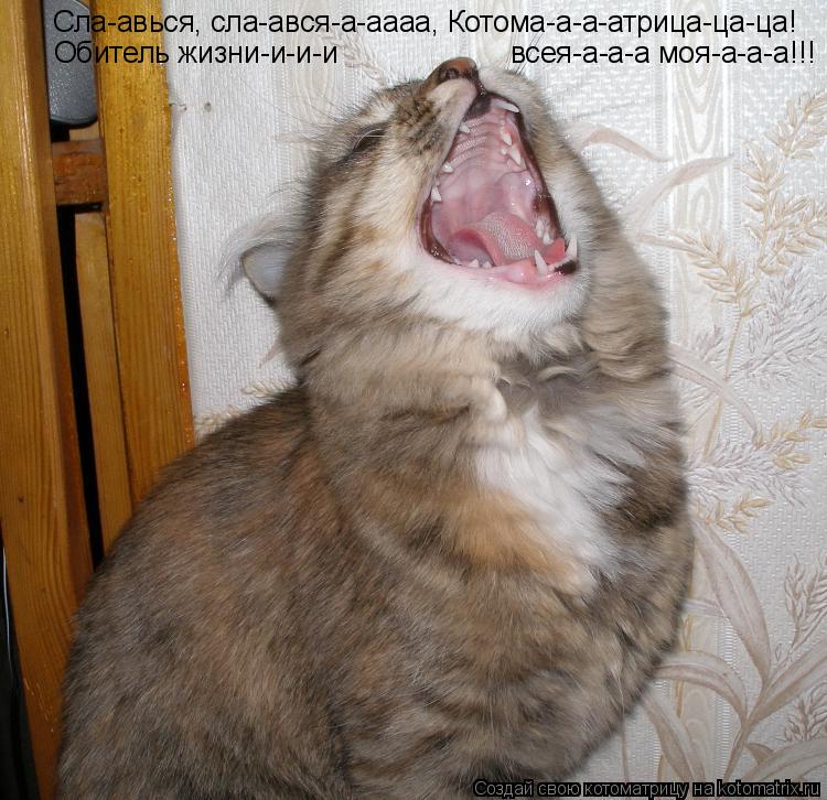 Котоматрица: Сла-авься, сла-ався-а-аааа, Котома-а-а-атрица-ца-ца! Обитель жизни-и-и-и всея-а-а-а моя-а-а-а!!!