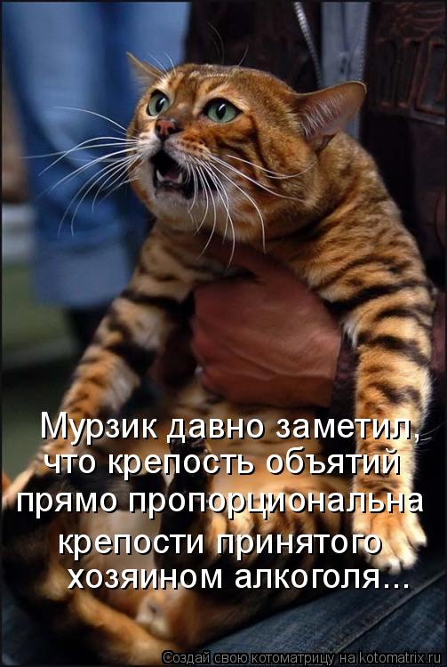Мурзик давно заметил, что крепость объятий прямо пропорциональна крепости принятого хозяином алкогол... Котоматрица: Мурзик давно заметил, что крепость объятий прямо пропорциональна крепости принятого хозяином алкоголя...