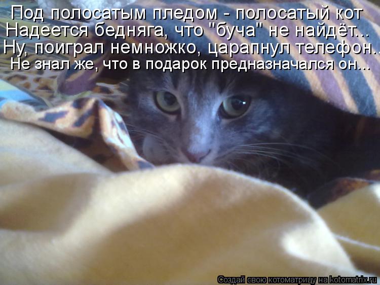 Под полосатым пледом - полосатый кот Надеется бедняга, что "буча" не найдёт... Ну, поиграл немножко, ... Котоматрица: Под полосатым пледом - полосатый кот Надеется бедняга, что "буча" не найдёт... Ну, поиграл немножко, царапнул телефон... Не знал же, что в подар