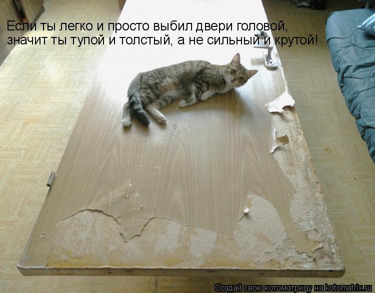 Если ты легко и просто выбил двери головой, значит ты тупой и толстый, а не сильный и крутой!... Котоматрица: Если ты легко и просто выбил двери головой, значит ты тупой и толстый, а не сильный и крутой!