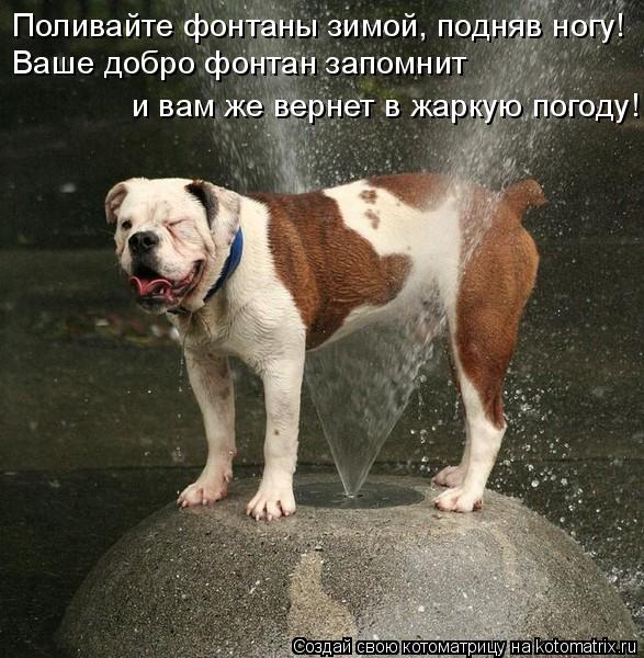 Поливайте фонтаны зимой, подняв ногу! Ваше добро фонтан запомнит и вам же вернет в жаркую погоду!... Котоматрица: Поливайте фонтаны зимой, подняв ногу! Ваше добро фонтан запомнит и вам же вернет в жаркую погоду!