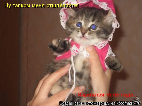 Ну тапком меня отшлёпайте! Издеватся-то не надо...... Котоматрица: Ну тапком меня отшлёпайте! Издеватся-то не надо...