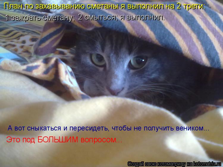 План по захавыванию сметаны я выполнил на 2 трети: 1 зажрать сметану; А вот сныкаться и пересидеть, ч... Котоматрица: План по захавыванию сметаны я выполнил на 2 трети: 1 зажрать сметану; А вот сныкаться и пересидеть, чтобы не получить веником... 2 смыться; я в