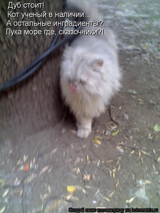 Дуб стоит! Кот ученый в наличии... А остальные инградиенты?... Лука море где, сказочники?!... Котоматрица: Дуб стоит! Кот ученый в наличии... А остальные инградиенты?... Лука море где, сказочники?!