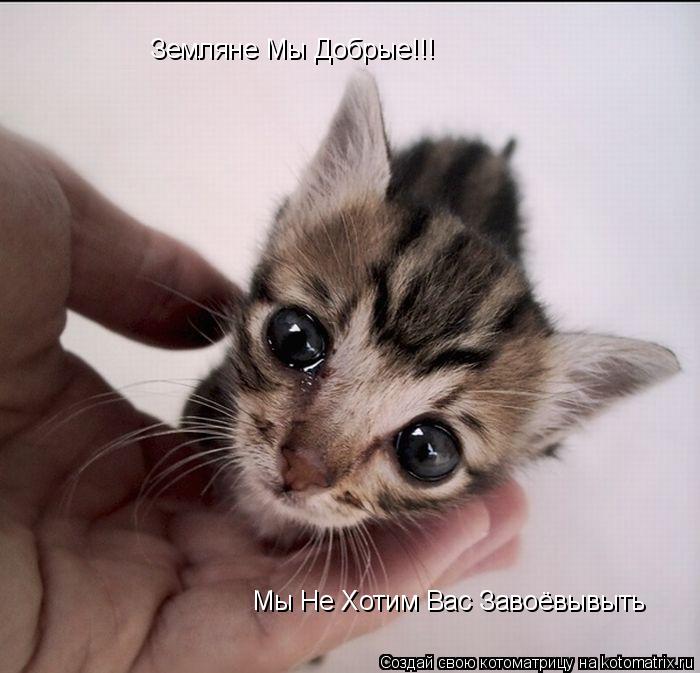 Земляне Мы Добрые!!! Мы Не Хотим Вас Завоёвывыть Мы Не Хотим Вас Завоёвывыть... Котоматрица: Земляне Мы Добрые!!! Мы Не Хотим Вас Завоёвывыть Мы Не Хотим Вас Завоёвывыть