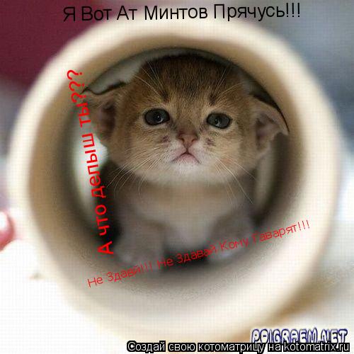 Я Вот Ат Минтов Прячусь!!! Я Вот Ат Минтов Прячусь!!! Я Вот Ат Минтов Прячусь!!! А что делыш ты??? Не... Котоматрица: Я Вот Ат Минтов Прячусь!!! Я Вот Ат Минтов Прячусь!!! Я Вот Ат Минтов Прячусь!!! А что делыш ты??? Не Здавй!!! Не Здавай Кому Гаварят!!!