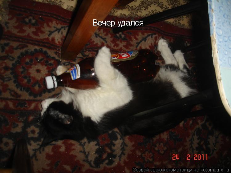 Вечер удался... Котоматрица: Вечер удался