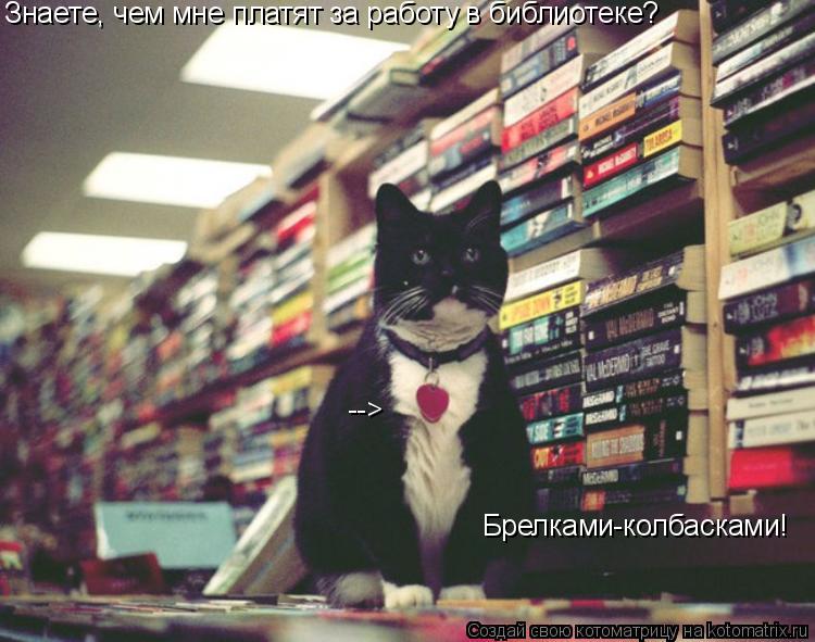 Знаете, чем мне платят за работу в библиотеке? Брелками-колбасками! -->... Котоматрица: Знаете, чем мне платят за работу в библиотеке? Брелками-колбасками! -->