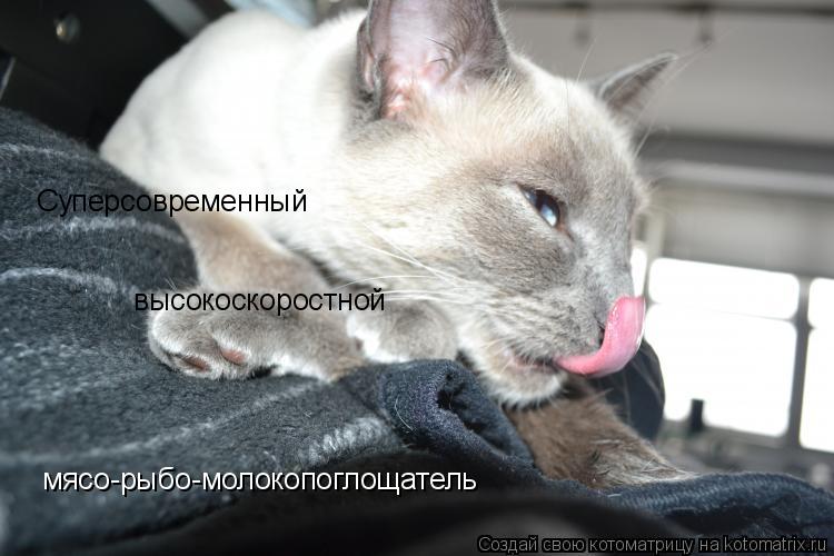 Суперсовременный высокоскоростной мясо-рыбо-молокопоглощатель... Котоматрица: Суперсовременный высокоскоростной мясо-рыбо-молокопоглощатель