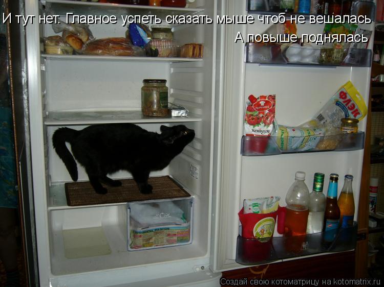 И тут нет. Главное успеть сказать мыше чтоб не вешалась А повыше поднялась... Котоматрица: И тут нет. Главное успеть сказать мыше чтоб не вешалась А повыше поднялась