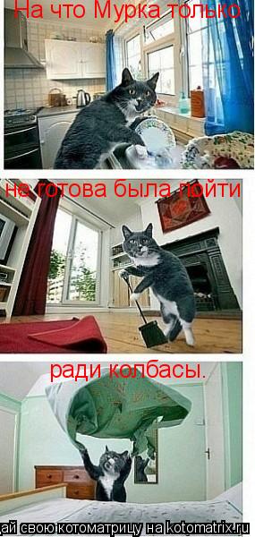 На что Мурка только не готова была пойти ради колбасы.... Котоматрица: На что Мурка только не готова была пойти ради колбасы.