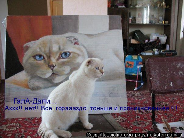 ГалА-Дали.... Аххх!! нет!! Все гораааздо тоньше и проникновеннее !!!... Котоматрица: ГалА-Дали.... Аххх!! нет!! Все гораааздо тоньше и проникновеннее !!!
