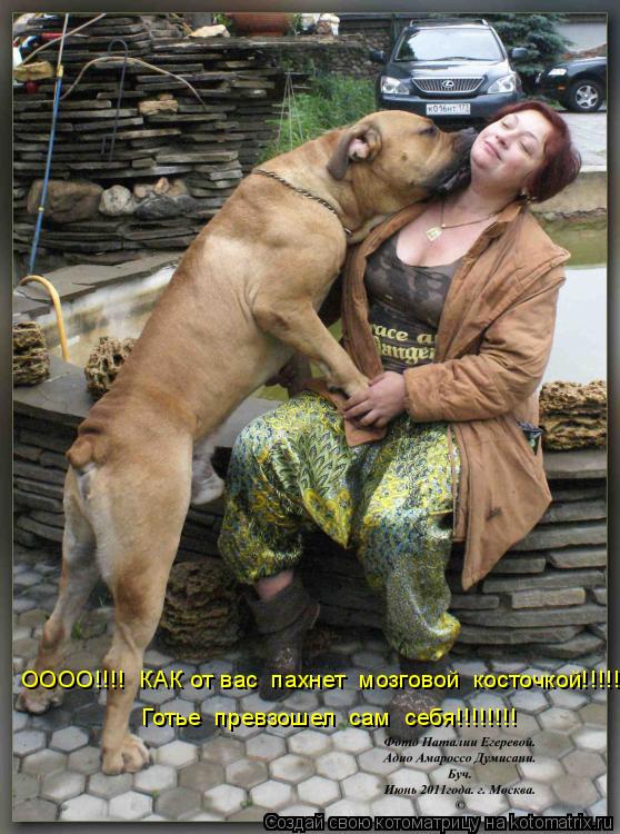 ОООО!!!! КАК от вас пахнет мозговой косточкой!!!!! Готье превзошел сам себя!!!!!!!!... Котоматрица: ОООО!!!! КАК от вас пахнет мозговой косточкой!!!!! Готье превзошел сам себя!!!!!!!!