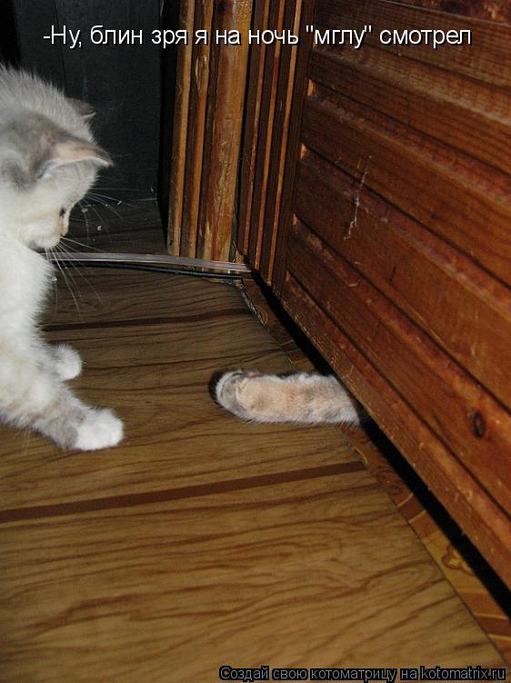 -Ну, блин зря я на ночь "мглу" смотрел... Котоматрица: -Ну, блин зря я на ночь "мглу" смотрел