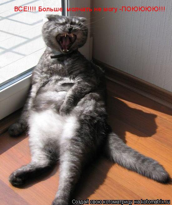 Котоматрица: ВСЕ!!!! Больше  молчать не могу -ПОЮЮЮЮ!!!