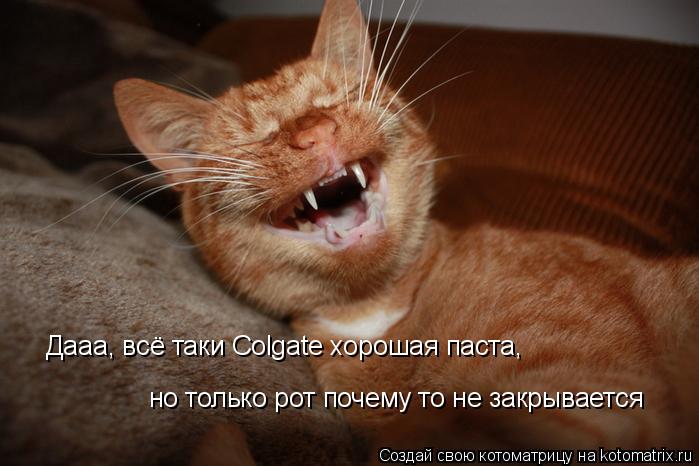 Дааа, всё таки Colgate хорошая паста, Дааа, всё таки Colgate хорошая паста, но только рот почему то н... Котоматрица: Дааа, всё таки Colgate хорошая паста, Дааа, всё таки Colgate хорошая паста, но только рот почему то не закрывается