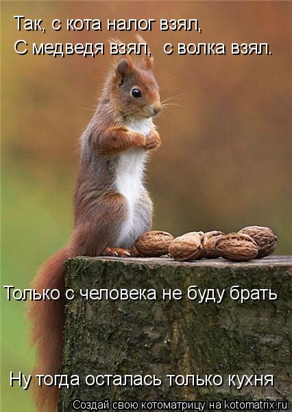 Так, с кота налог взял, С медведя взял, с волка взял. Ну тогда осталась только кухня Только с человек... Котоматрица: Так, с кота налог взял, С медведя взял, с волка взял. Ну тогда осталась только кухня Только с человека не буду брать