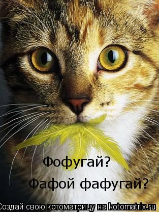 Фофугай? Фафой фафугай?... Котоматрица: Фофугай? Фафой фафугай?