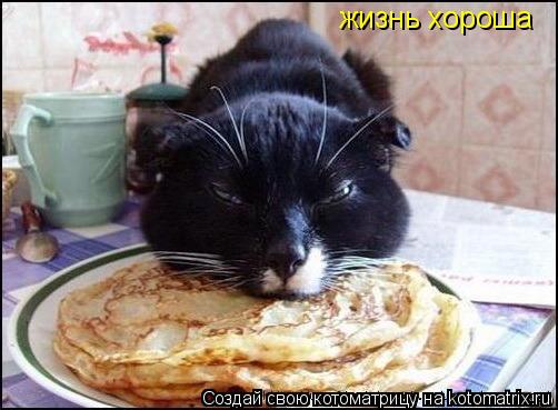 жизнь хороша... Котоматрица: жизнь хороша