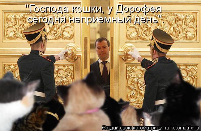 "Господа кошки, у Дорофея сегодня неприемный день".... Котоматрица: "Господа кошки, у Дорофея сегодня неприемный день".