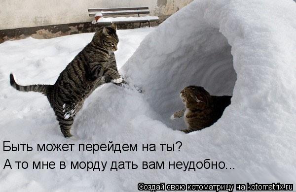 Быть может перейдем на ты? А то мне в морду дать вам неудобно...... Котоматрица: Быть может перейдем на ты? А то мне в морду дать вам неудобно...