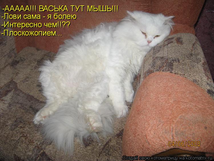 -ААААА!!! ВАСЬКА ТУТ МЫШЬ!!! -Лови сама - я болею -Интересно чем!!?? -Плоскожопием...... Котоматрица: -ААААА!!! ВАСЬКА ТУТ МЫШЬ!!! -Лови сама - я болею -Интересно чем!!?? -Плоскожопием...