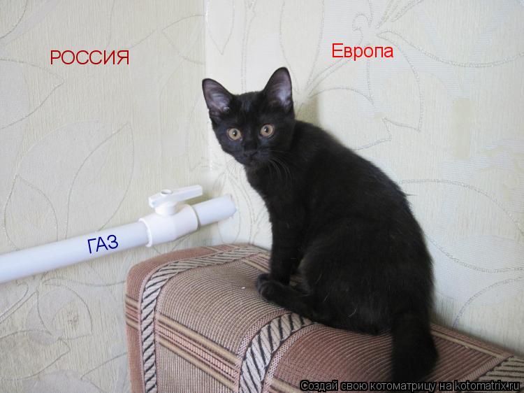 РОССИЯ Европа ГАЗ... Котоматрица: РОССИЯ Европа ГАЗ