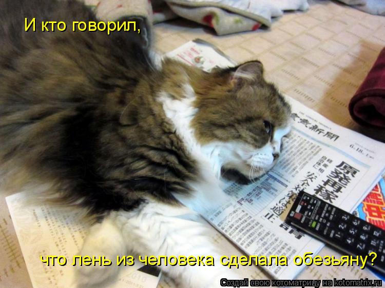 И кто говорил, что лень из человека сделала обезьяну?... Котоматрица: И кто говорил, что лень из человека сделала обезьяну?