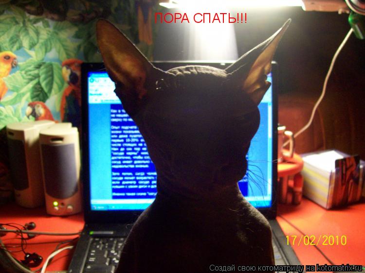 ПОРА СПАТЬ!!!... Котоматрица: ПОРА СПАТЬ!!!