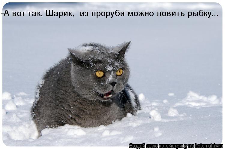 -А вот так, Шарик, из проруби можно ловить рыбку...... Котоматрица: -А вот так, Шарик, из проруби можно ловить рыбку...