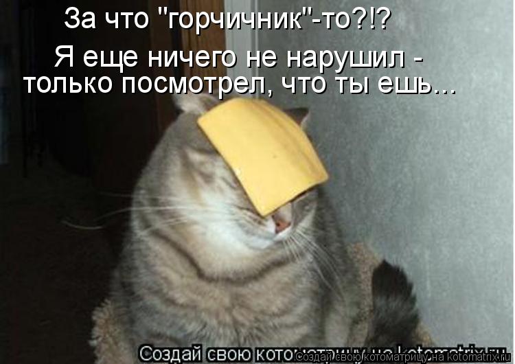 За что "горчичник"-то?!? Я еще ничего не нарушил - только посмотрел, что ты ешь...... Котоматрица: За что "горчичник"-то?!? Я еще ничего не нарушил - только посмотрел, что ты ешь...