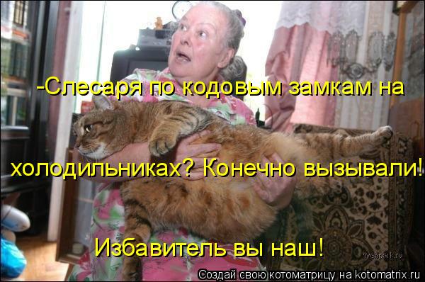 -Слесаря по кодовым замкам на холодильниках? Конечно вызывали! Избавитель вы наш!... Котоматрица: -Слесаря по кодовым замкам на холодильниках? Конечно вызывали! Избавитель вы наш!