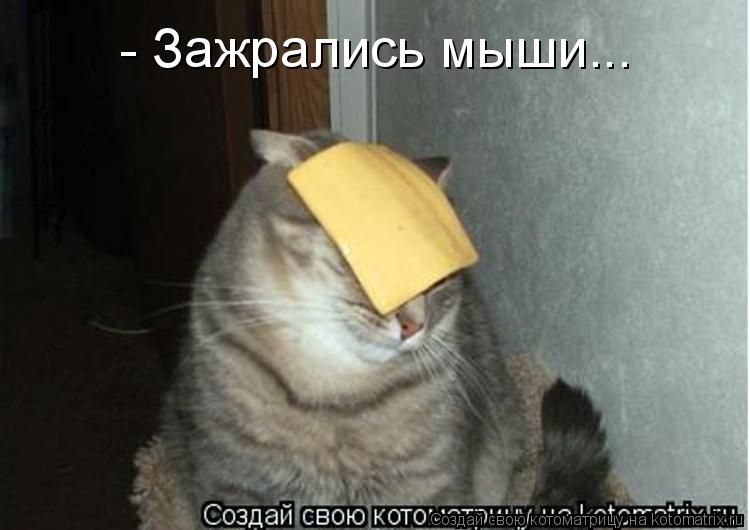 - Зажрались мыши...... Котоматрица: - Зажрались мыши...