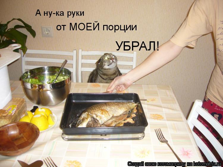 А ну-ка руки от МОЕЙ порции УБРАЛ!... Котоматрица: А ну-ка руки от МОЕЙ порции УБРАЛ!