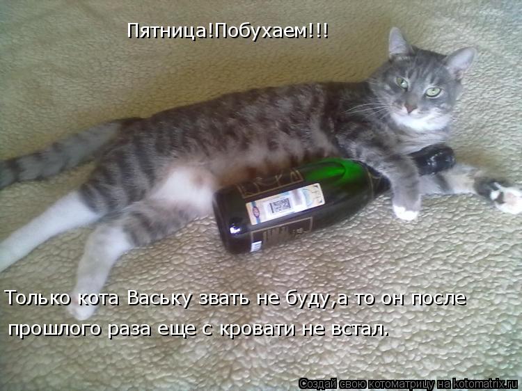 Пятница!Побухаем!!! Только кота Ваську звать не буду,а то он после прошлого раза еще с кровати не вст... Котоматрица: Пятница!Побухаем!!! Только кота Ваську звать не буду,а то он после прошлого раза еще с кровати не встал.