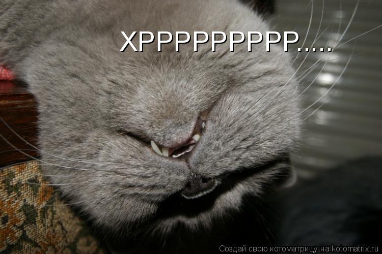 ХРРРРРРРРР........ Котоматрица: ХРРРРРРРРР.....
