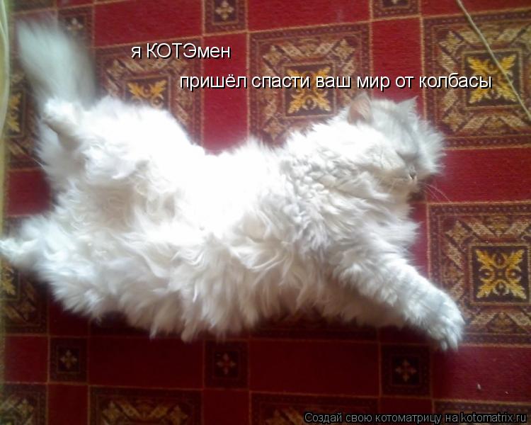 я КОТЭмен пришёл спасти ваш мир от колбасы... Котоматрица: я КОТЭмен пришёл спасти ваш мир от колбасы
