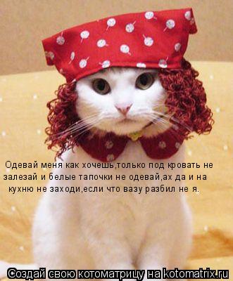 Одевай меня как хочешь,только под кровать не залезай и белые тапочки не одевай,ах да и на кухню не з... Котоматрица: Одевай меня как хочешь,только под кровать не залезай и белые тапочки не одевай,ах да и на кухню не заходи,если что вазу разбил не я.